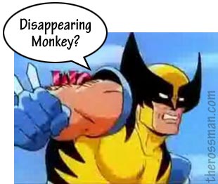disappearing monkey