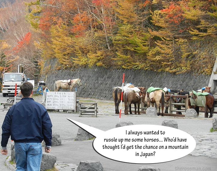 Mt Fuji Horses